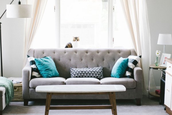 lavagem sofa barueri